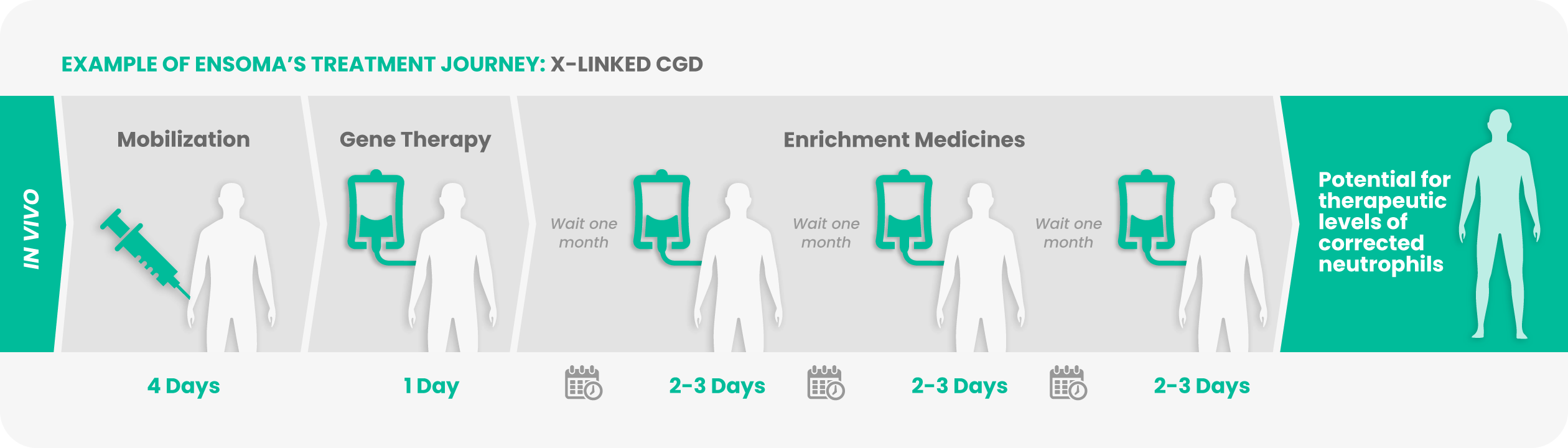 graphic_patients_in-vivo-treatment-journey_25.09.29@2x
